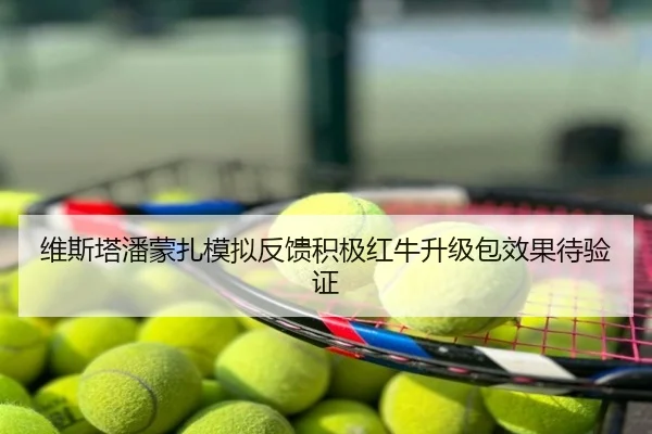 维斯塔潘蒙扎模拟反馈积极红牛升级包效果待验证
