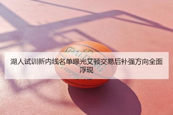 湖人试训新内线名单曝光艾顿交易后补强方向全面浮现