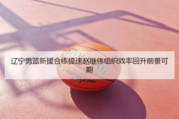辽宁男篮新援合练提速赵继伟组织效率回升前景可期